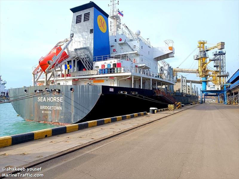 sea horse (Bulk Carrier) - IMO 9528029, MMSI 314776000, Call Sign 8PQO5 under the flag of Barbados