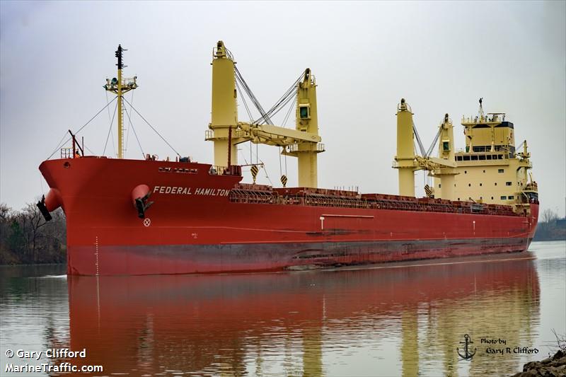 federal hamilton (Bulk Carrier) - IMO 9975363, MMSI 538010710, Call Sign V7A7306 under the flag of Marshall Islands