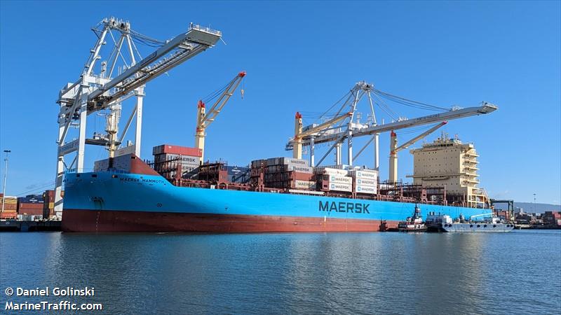 maersk mammoth (Container Ship) - IMO 9928229, MMSI 352002997, Call Sign 3E4744 under the flag of Panama