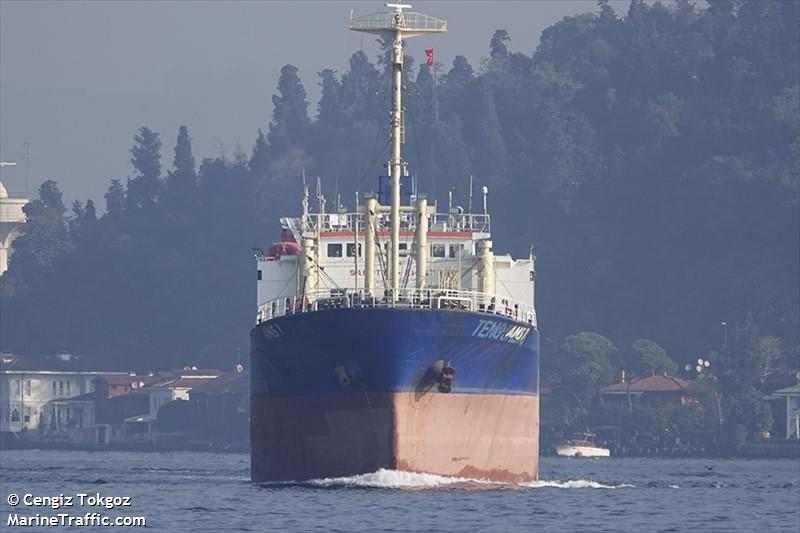 ams 1 (General Cargo Ship) - IMO 9019999, MMSI 613729701, Call Sign TJM5217 under the flag of Cameroon