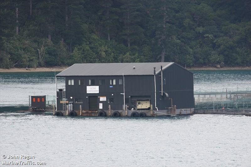 clay point farm (Cargo ship) - IMO , MMSI 512003286, Call Sign ZMW4309 under the flag of New Zealand