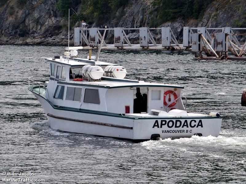 apodaca (Passenger ship) - IMO , MMSI 316009304 under the flag of Canada