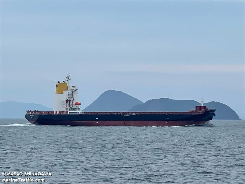bright tsubaki (Container Ship) - IMO 9989819, MMSI 352003412, Call Sign 3E7557 under the flag of Panama