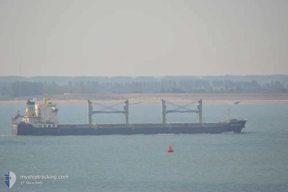 dong fang wei ye (Bulk Carrier) - IMO 9584798, MMSI 413229350, Call Sign BOFH2 under the flag of China