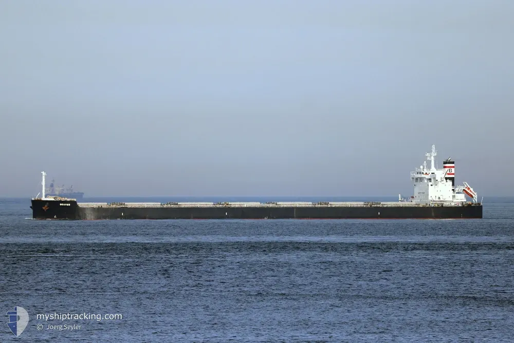 beaver (Bulk Carrier) - IMO 9746695, MMSI 636018787, Call Sign D5RJ7 under the flag of Liberia