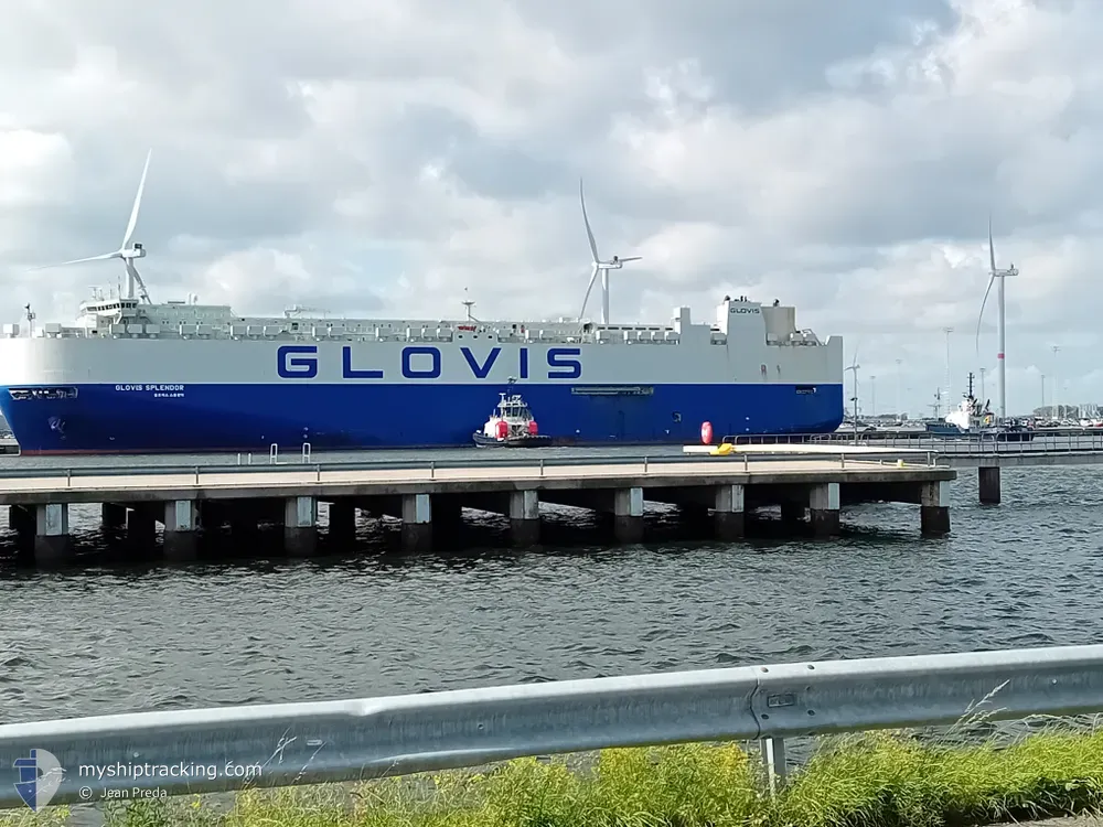 glovis splendor (Vehicles Carrier) - IMO 9702431, MMSI 440254000, Call Sign D7GY under the flag of Korea