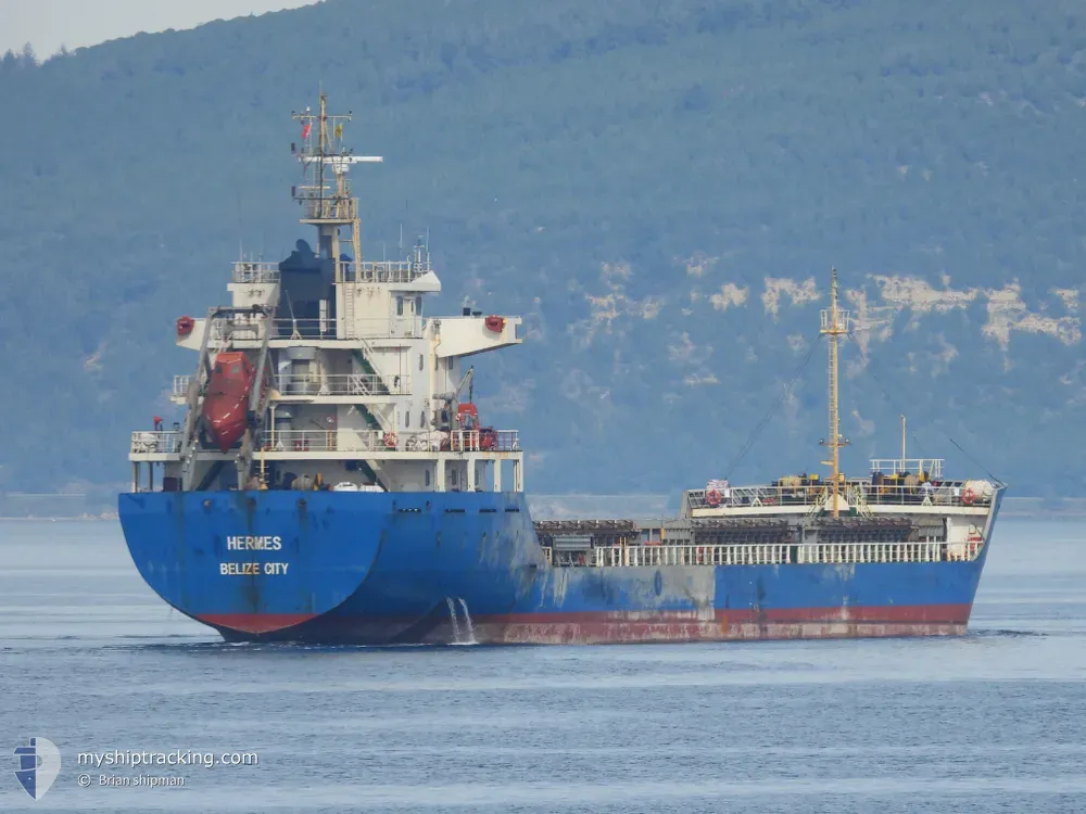 hermes (General Cargo Ship) - IMO 9071052, MMSI 511100767, Call Sign T8A3973 under the flag of Palau