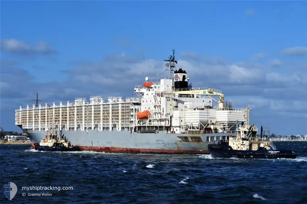 maysora (Livestock Carrier) - IMO 8310542, MMSI 511100869, Call Sign T8A4084 under the flag of Palau