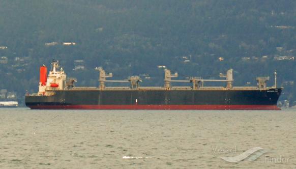 southern star (Wood Chips Carrier) - IMO 9344071, MMSI 355702000, Call Sign 3ELZ4 under the flag of Panama
