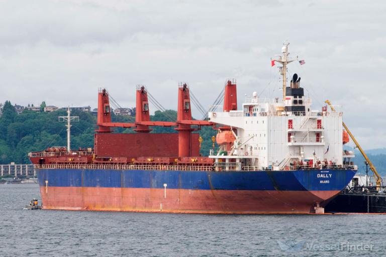dally (General Cargo Ship) - IMO 9473597, MMSI 538008020, Call Sign V7SI2 under the flag of Marshall Islands