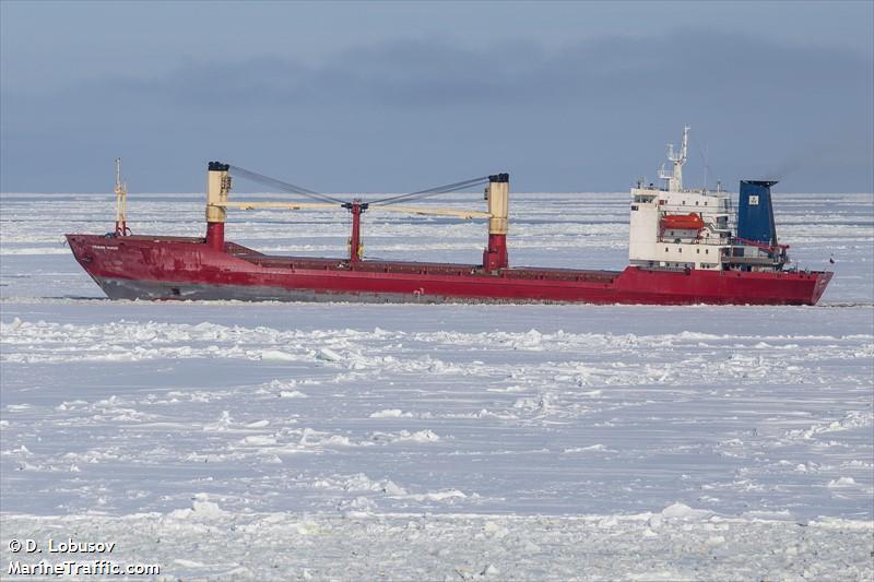 polar king (General Cargo Ship) - IMO 8711320, MMSI 273352370, Call Sign UBTI3 under the flag of Russia