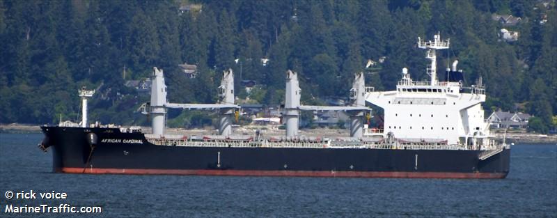 african cardinal (Bulk Carrier) - IMO 9856919, MMSI 373989000, Call Sign 3EQY6 under the flag of Panama