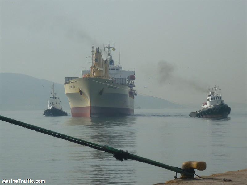 shin izu (Refrigerated Cargo Ship) - IMO 9186936, MMSI 355168000, Call Sign 3EYX6 under the flag of Panama