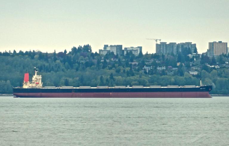 winning youth (Bulk Carrier) - IMO 9278636, MMSI 563122200, Call Sign 9V6993 under the flag of Singapore