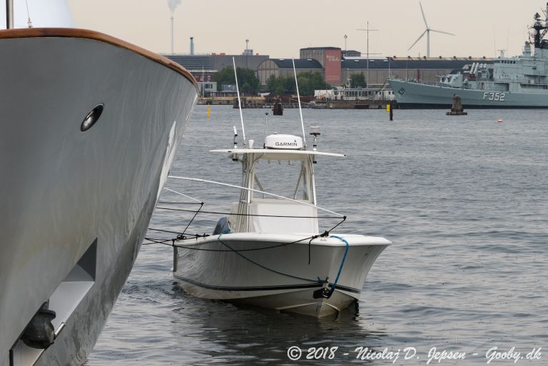 tt big eagle (Pleasure craft) - IMO , MMSI 367734220, Call Sign WD17990 under the flag of United States (USA)